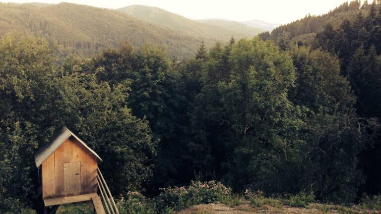 What Services Are Available On 99 Exchange.Com?